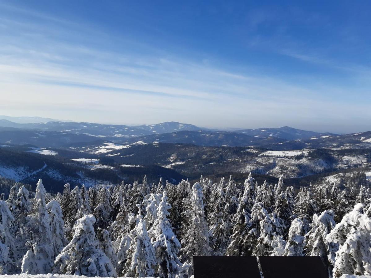Chata góralska Wojtasówka Kamesznica Exterior foto