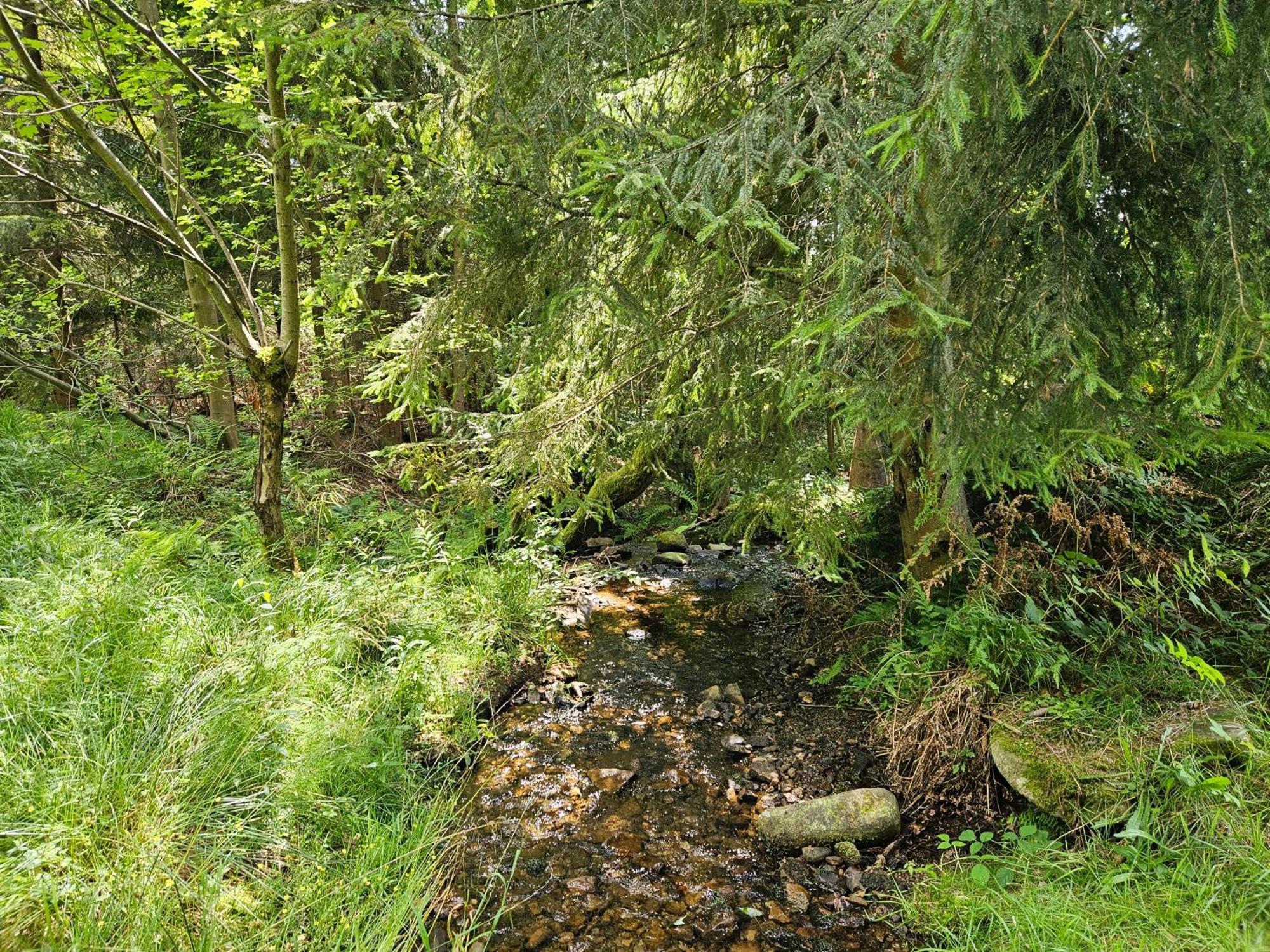 Chata góralska Wojtasówka Kamesznica Exterior foto