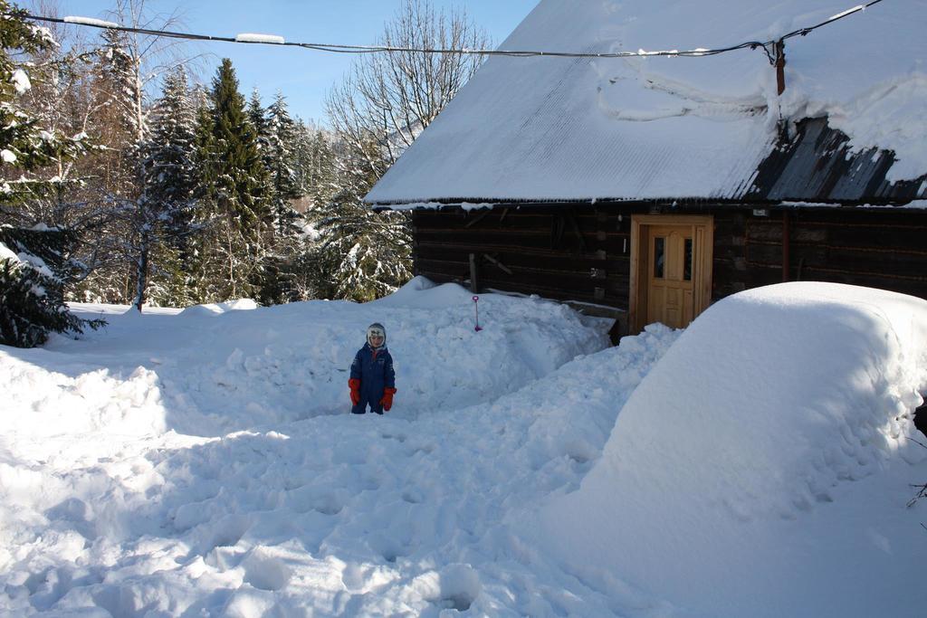 Chata góralska Wojtasówka Kamesznica Exterior foto